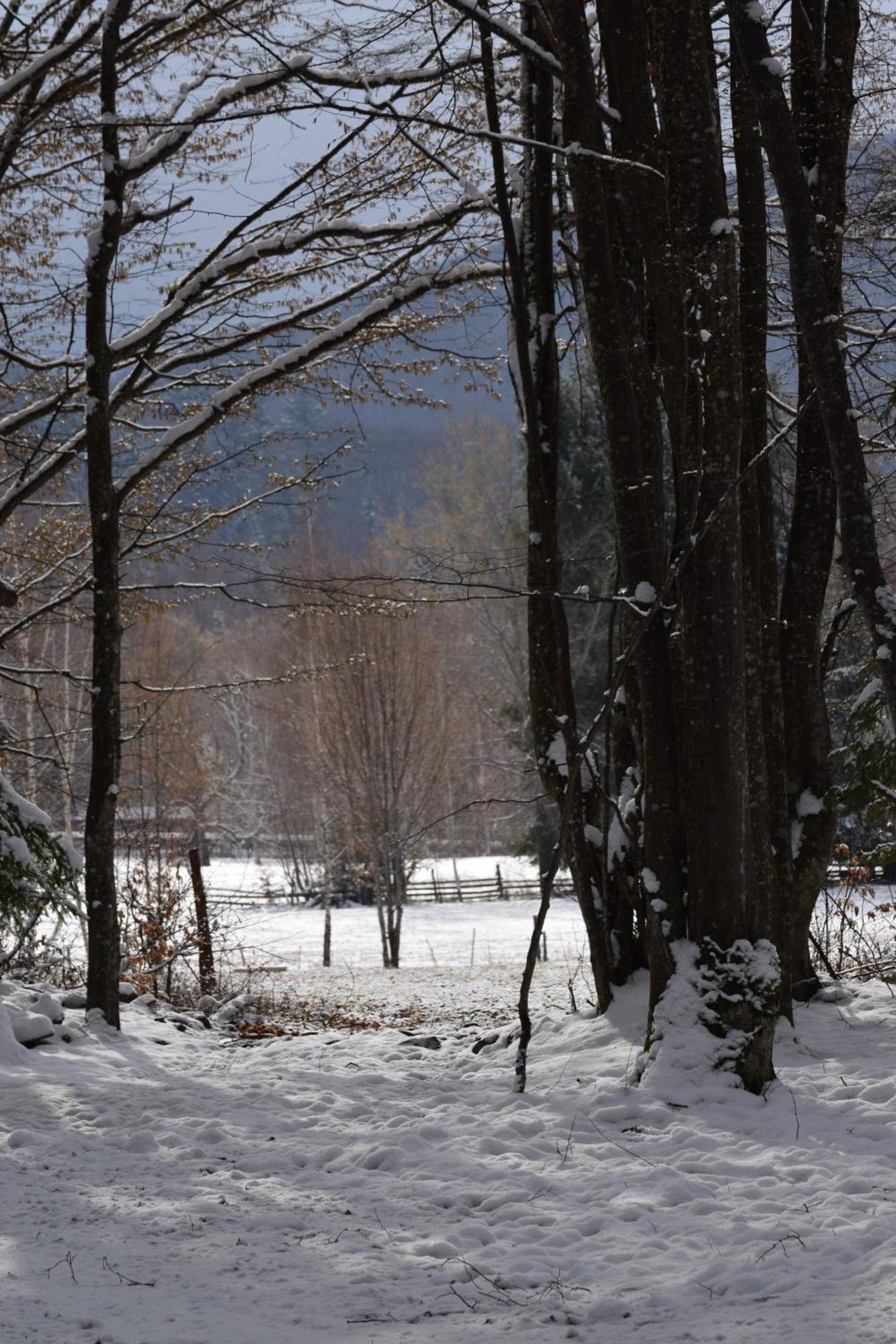 Holiday Nature House Извоаре Екстериор снимка
